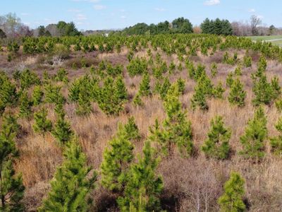 Property at 0 Level Run Rd, Long Island, VA