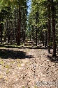 1001 Pactolus Lake Rd