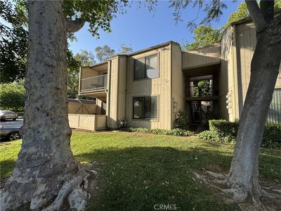 600 Central Ave APT 302