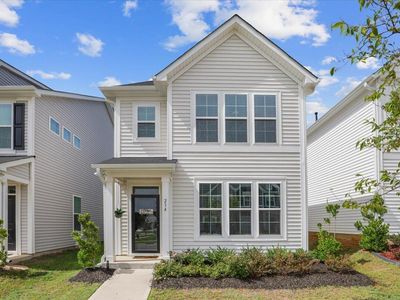 234 Pansy Park