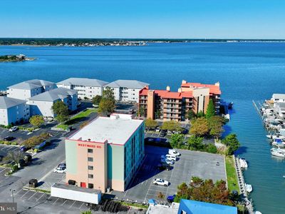 2301 Philadelphia Ave #305