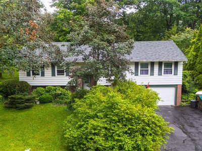 50 Brooktree Dr