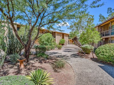 4 W Greenock Dr Unit 4AA