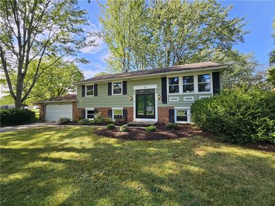 55 Marble Dr