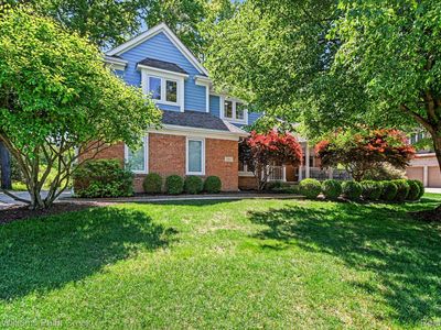 1091 American Elm St