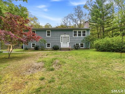 42 Fern Road