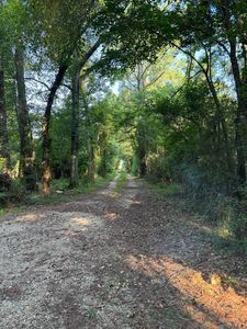Property at 17286 Highway 933, Prairieville, LA