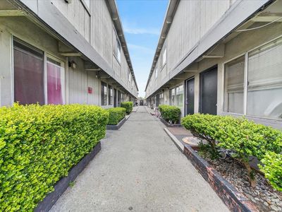 Sanchez St
