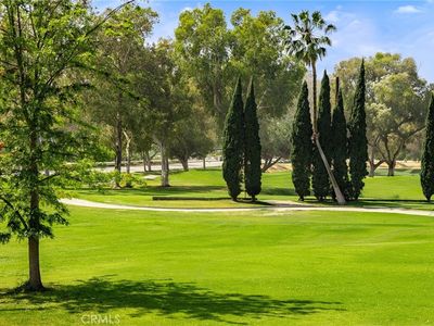38 Arboles