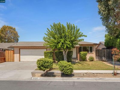 3592 Hillsborough Dr