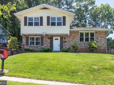 110 White Birch Ct