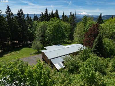 31 Ashley Dr