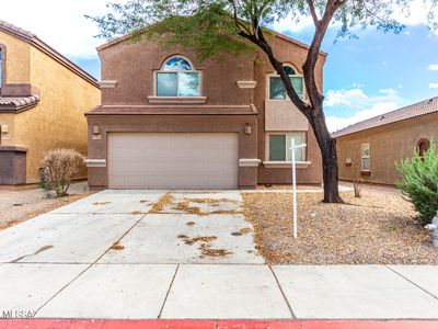 8784 N Western Red Cedar Dr