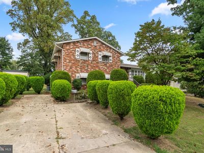 420 Burnt Mills Ave