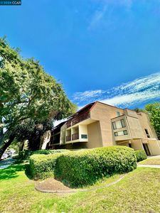 1600 Carmel Dr APT 15