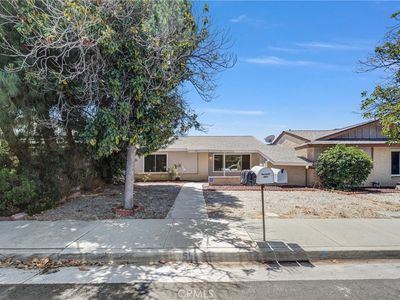 451 Magnolia Cir