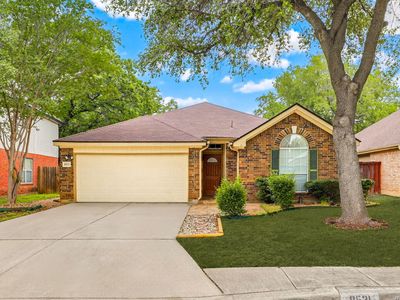 8531 Quail Tree