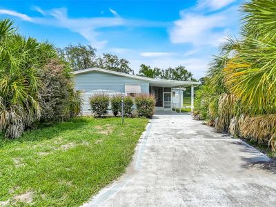 25224 Wild Heron
