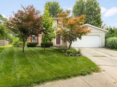 2926 Brooktree Ct