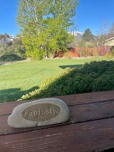 290 Weber Dr