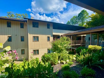 224 Woodland Rd Unit 302