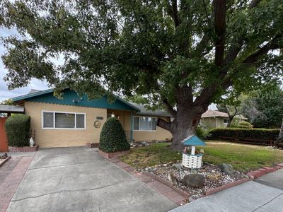 894 Hazelnut Ct