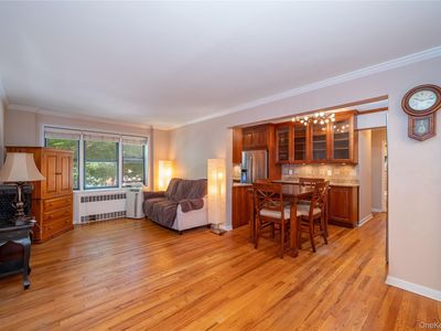 485 E Lincoln Avenue #207