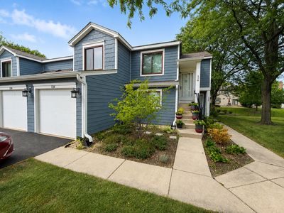 Property at 116 Manchester Ct #916, Schaumburg, IL