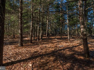 Property at 365 Creek Rd, Delran, NJ