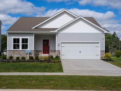 Daffodil Plan, Harvest Meadows