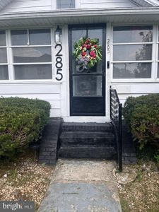 285 Spruce St