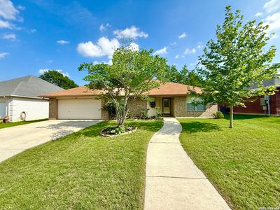 1337 Pecan Arbor