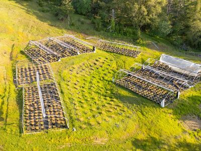 8000 Simmerly Ranch Road