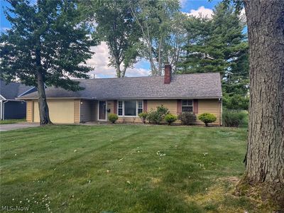 281 Cardinal Dr