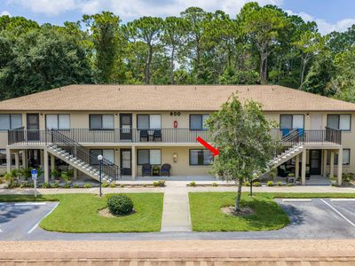 1601 Big Tree Rd APT 803