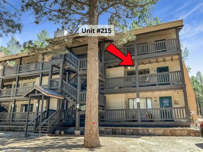 64 Mammoth Mountain Rd