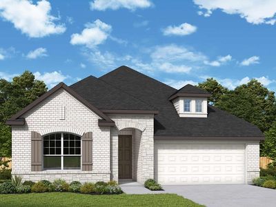 Daisy Plan, Mantua Point Classics