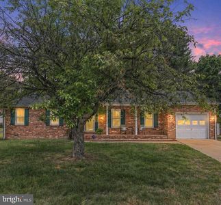 619 Shamrock Dr