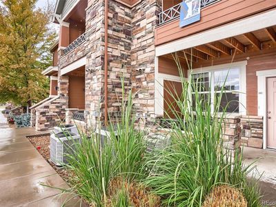 7130 Simms Street #102