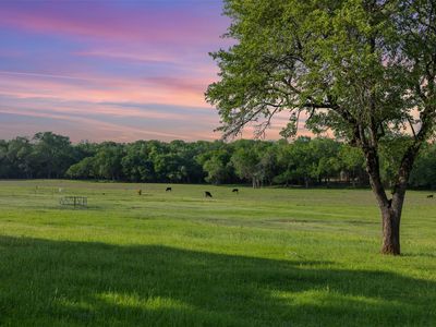 3004 County Road 310
