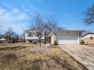 1019 Colony Dr