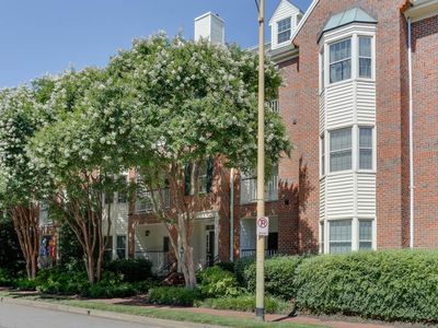 321 Duke St APT 133