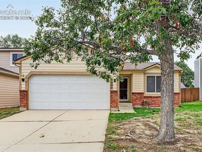 8430 Sassafras Dr