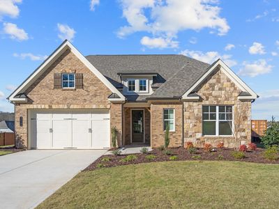 Rosehill Plan, Yellowstone