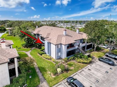 10265 Gandy Blvd N APT 1411