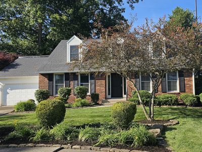 3806 Hastings Ct