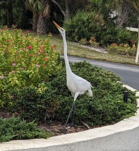 166 SE Saint Lucie Blvd APT D-305