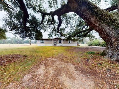 2803 County Road 517