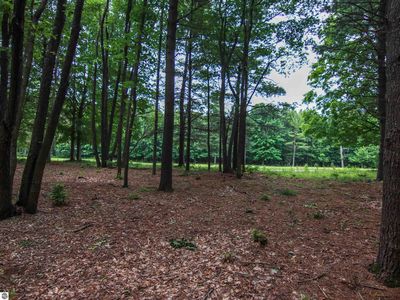 Property at 41 Trailside Dr UNIT 0, Thompsonville, MI