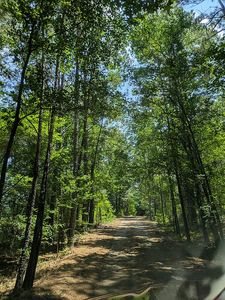 20797 County Road 2138